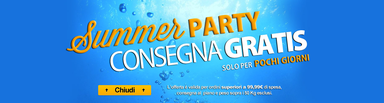 summerparty2013